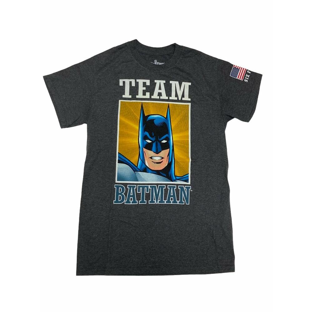Six Flags DC Comics Team Batman Graphic T Shirt S Small Grey